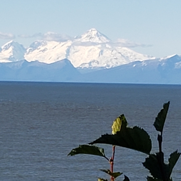 Meet your Posher, Terter - Picture 5 of 16